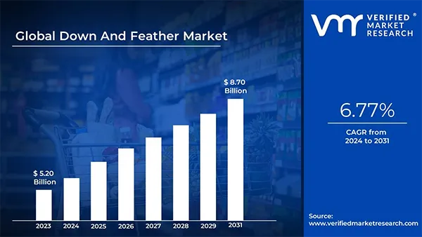 Global Down and  Feather Market