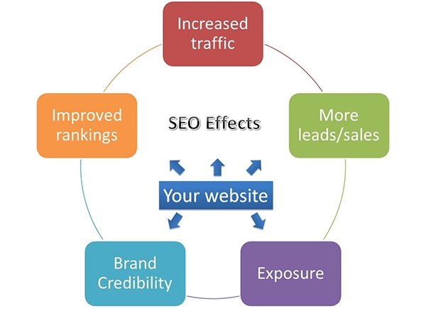  SEO effects on the website.