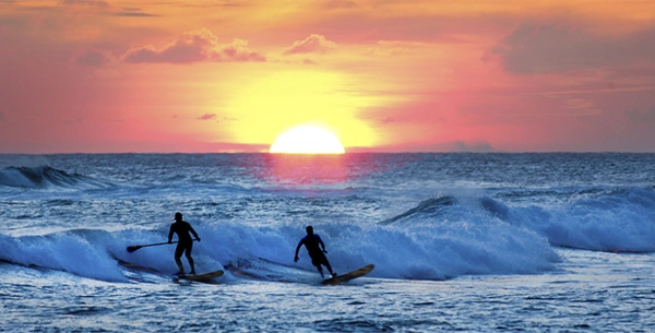 group and private surf lessons