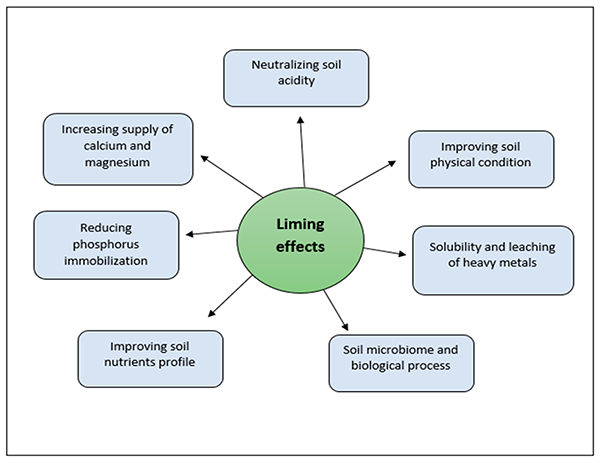 Liming effects