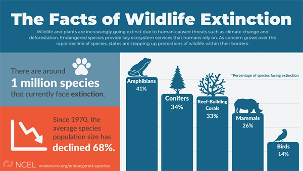 The Facts of Wildlife Extinction