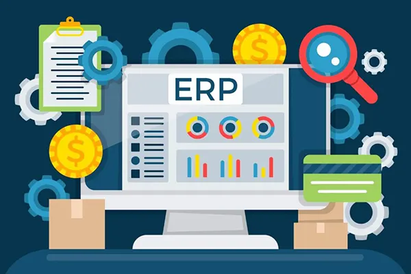 Custom ERP System