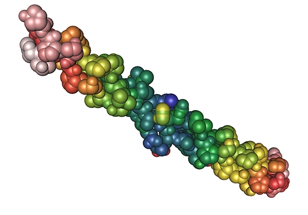 Collagen