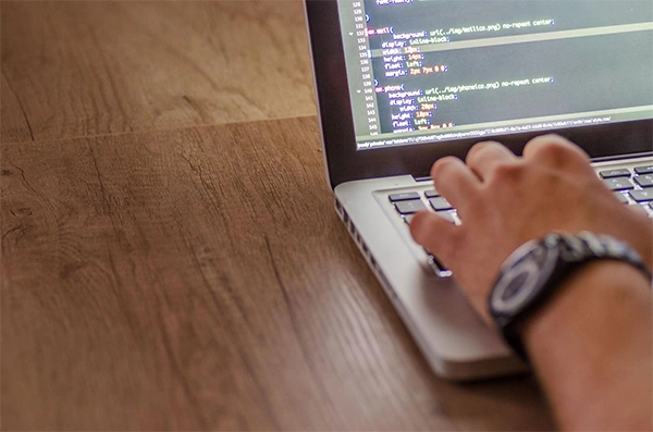 Web Development and Programming