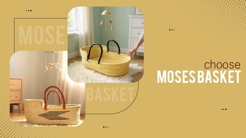 choose moses basket