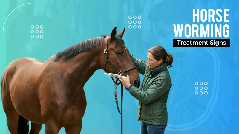 Horse Worming Treatment