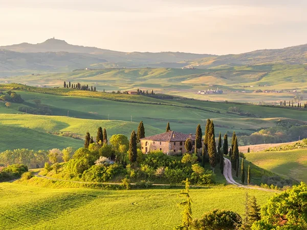 Tuscany Countryside 