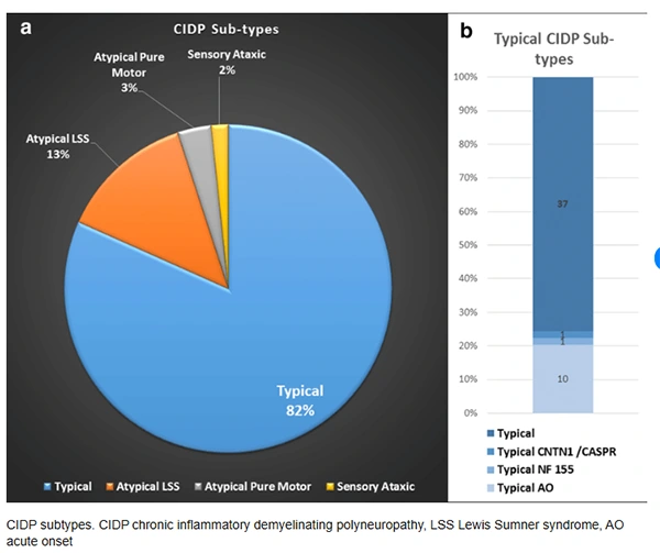 CIDP Subtypes