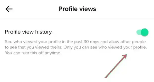 Turn on Profile view history.
