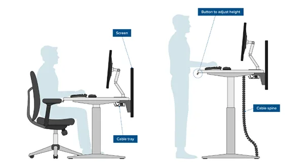  ergonomic