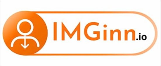 Imginn logo