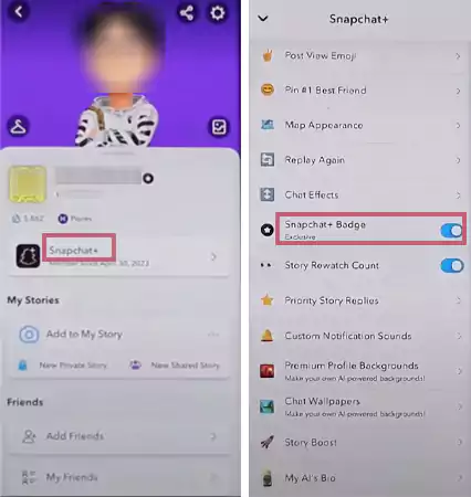 select Snapchat plus and toggle on the Snapchat plus badge