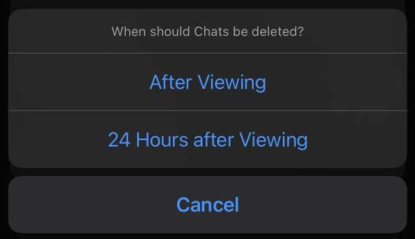 Snapchat gives two options for deleting chats