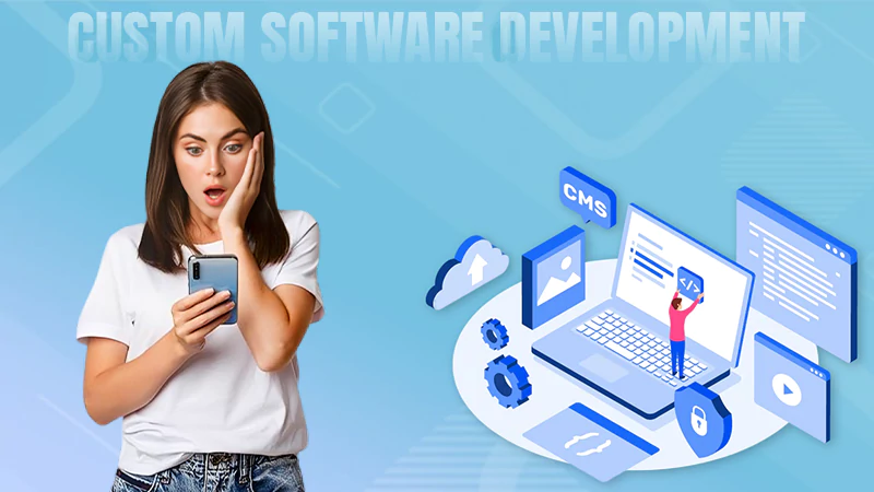 custom software development