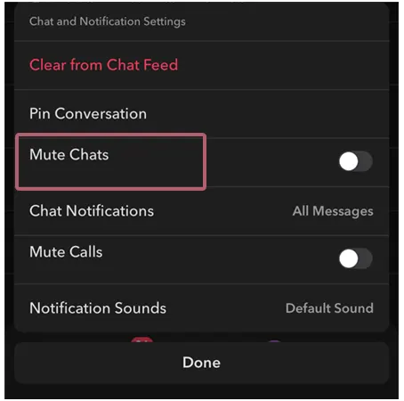 Mute Chat option in Snapchat