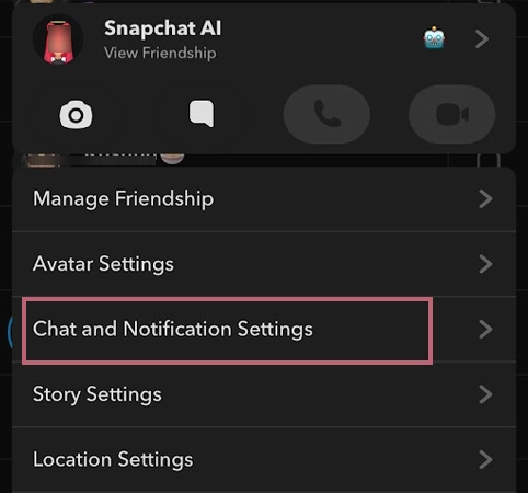 Select Chat and Notification Settings