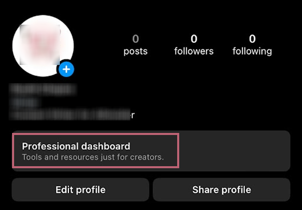 Launch Instagram and select Professional Dashboard