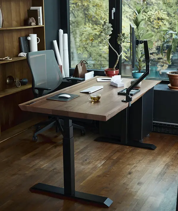 sit-stand desk setup