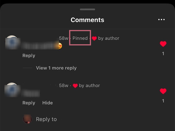 The Pinned indicates that your comment is pinned