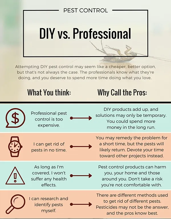 DIY vs Professional Pest Control 