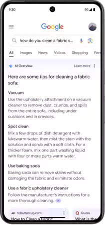Google AI Overview Search Results