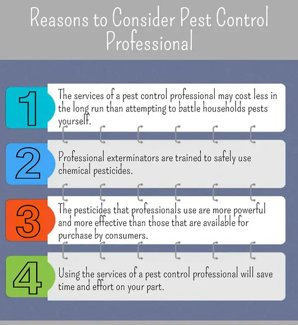 Reasons to Consider Pest Control Professional