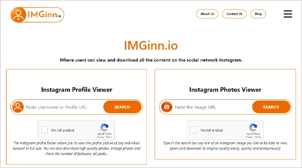 The Imginn Website