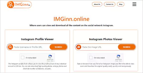 The Imginn Websites