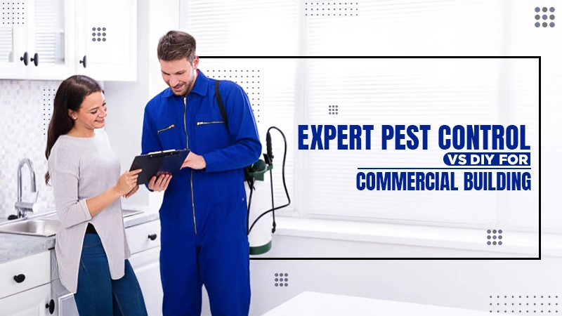 expert pest control vs diy for commercial building