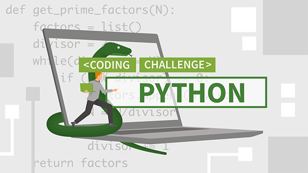 Python Coding Challenges For Programmers with Solutions