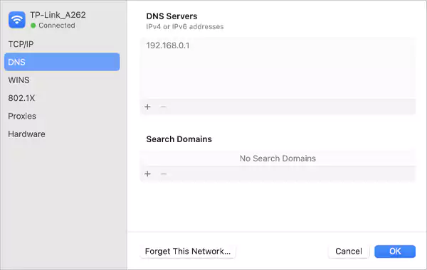 Enter your preferred DNS address