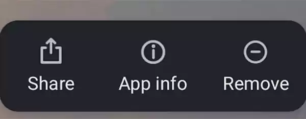 App info option