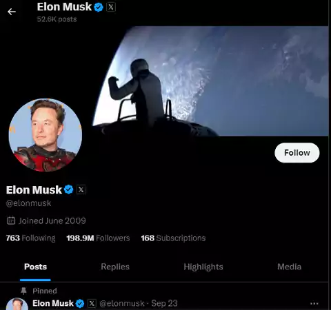 Elon Musks X