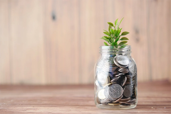 Financial Growth & 401(k)