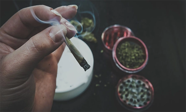 Wellness Potential with Cannabis