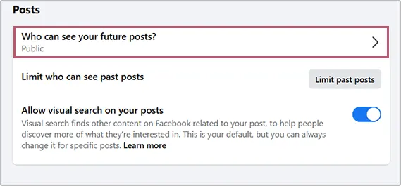 Who can see your future posts