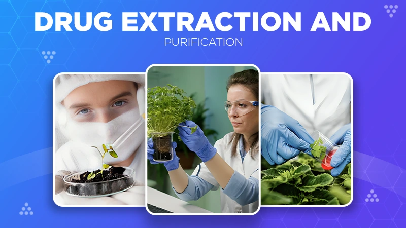 drug Purification