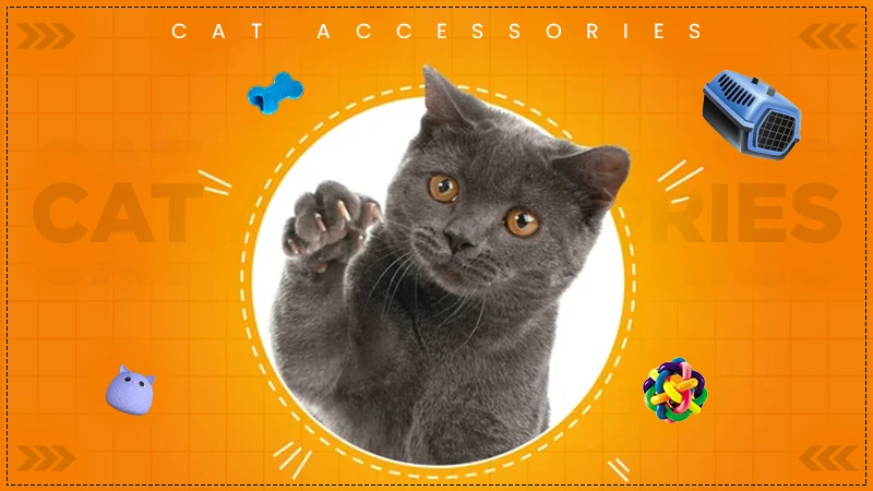 luxury cat accessories investment analysis