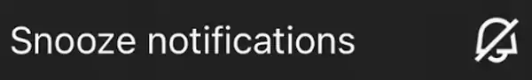 The Snooze notifications option