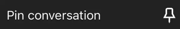 The pin conversation option