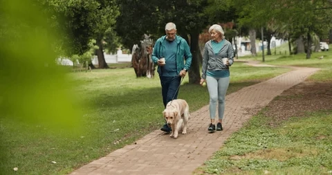 Pet health and wellness