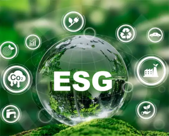 Environmental Social Governance ESG