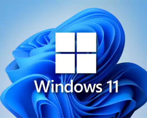 Windows 11