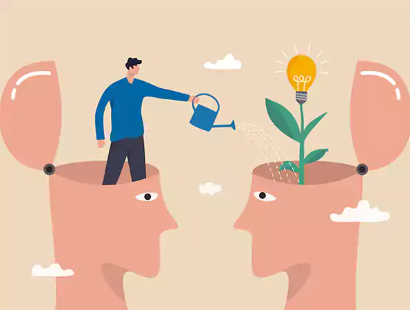 Importance of Mentorship