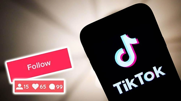 TikTok Followers