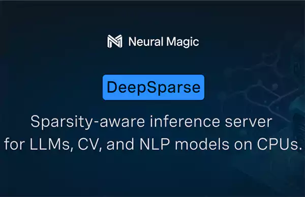 DeepSparse