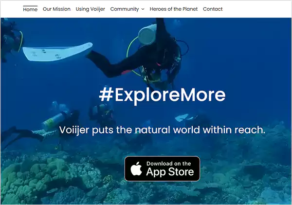 Using Voiijer platform