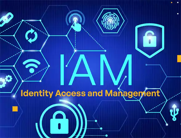 IAM systems
