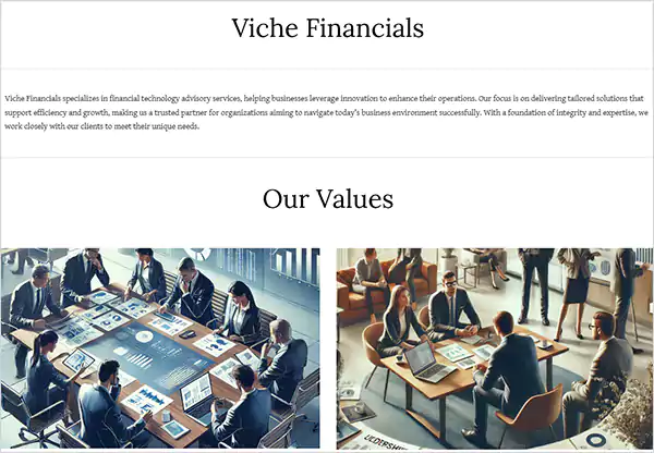 Viche Financials
