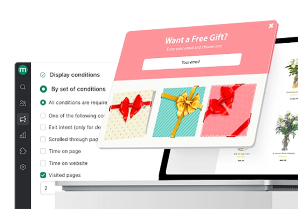 Maestra.io